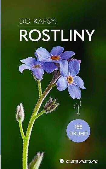 Rostliny Do kapsy 158 druhů - Eva-Maria Dreyerová