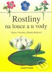Rostliny na louce a u vody