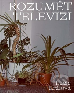 Rozumět televizi