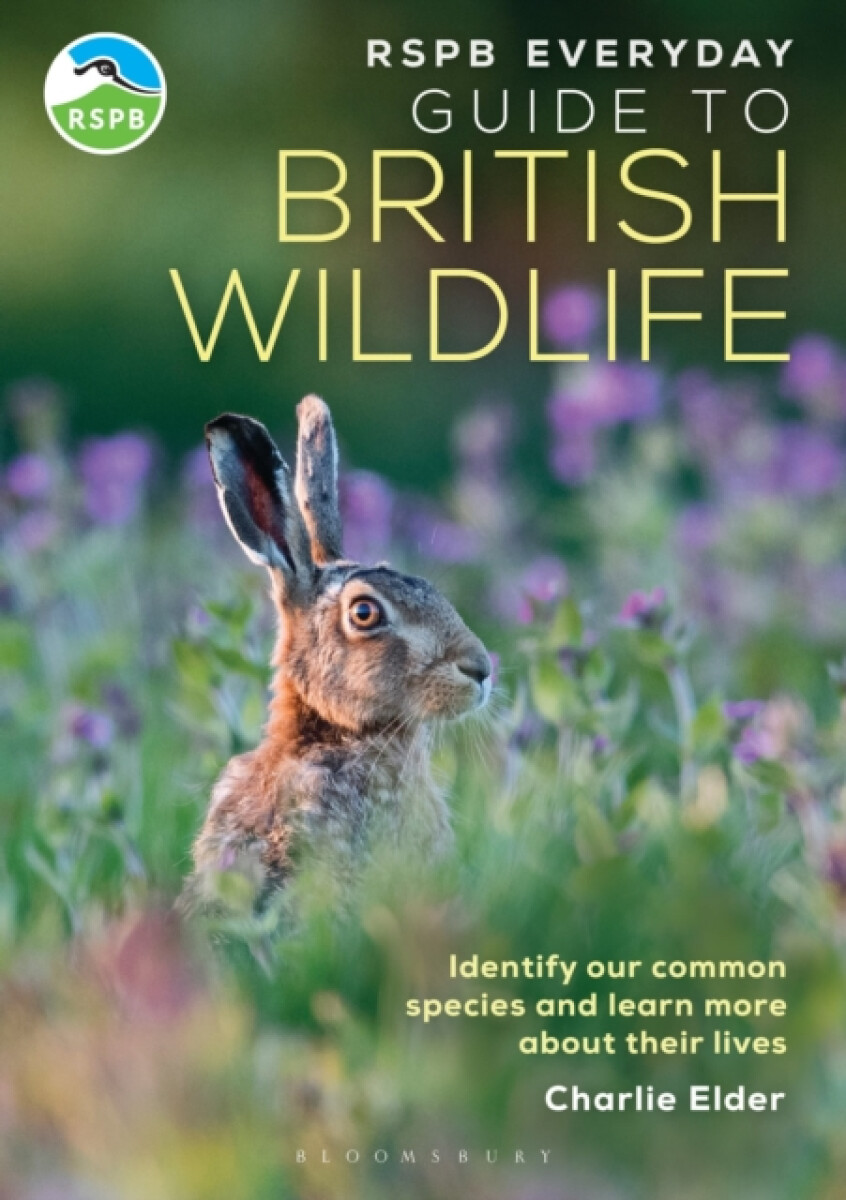 RSPB Everyday Guide to British Wildlife