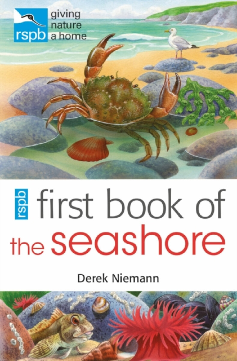 RSPB First Book Of The Seashore