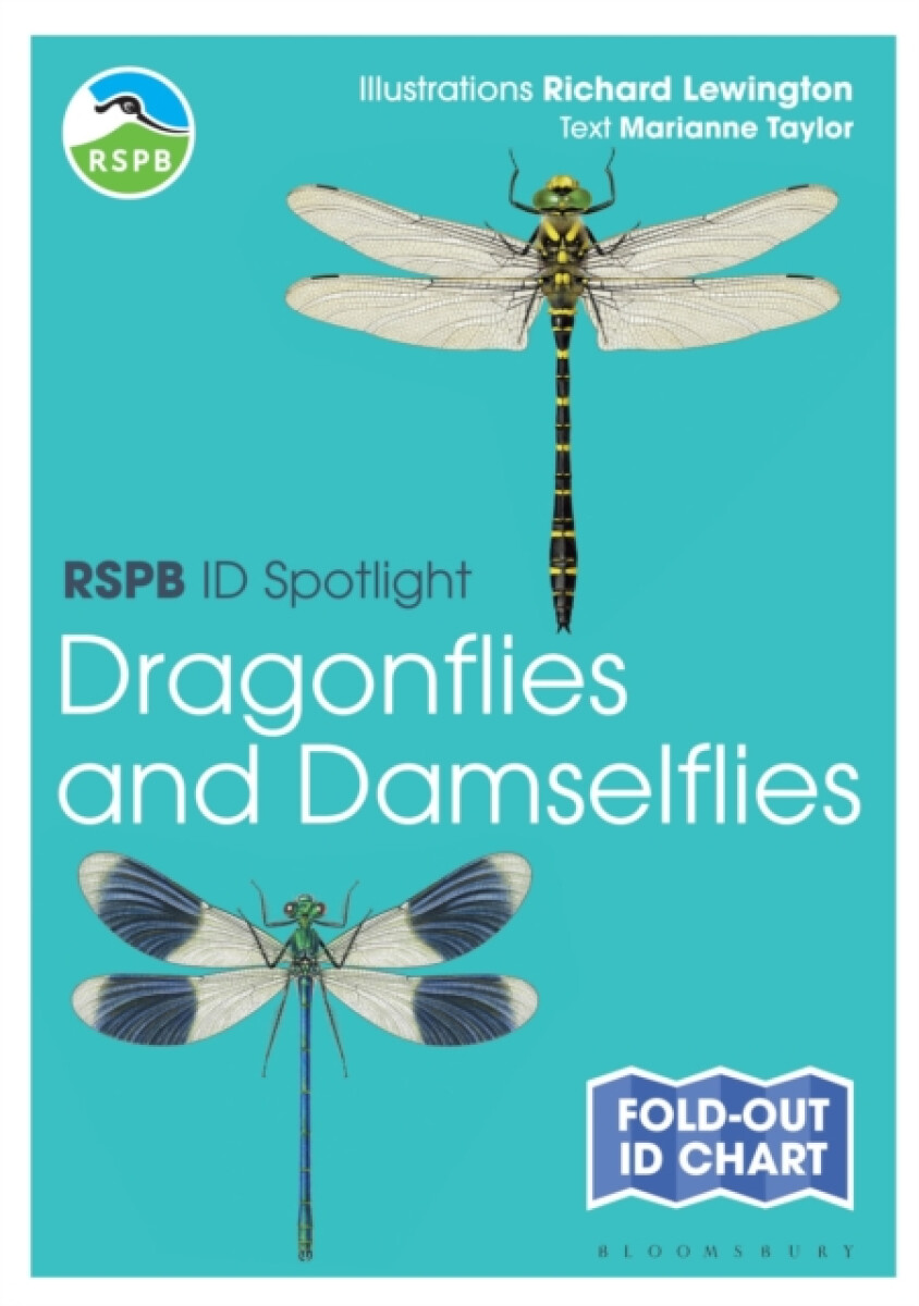 RSPB ID Spotlight - Dragonflies and Damselflies