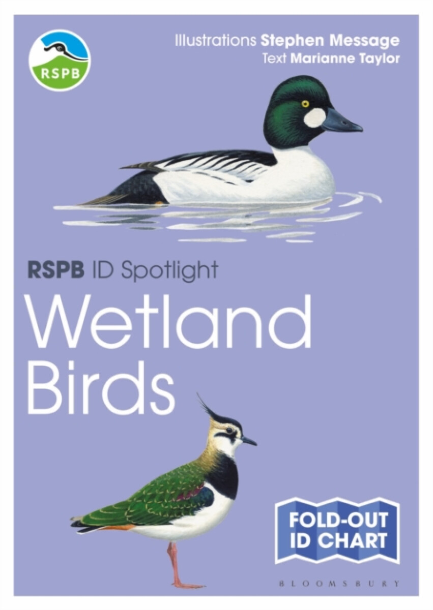 RSPB ID Spotlight - Wetland Birds