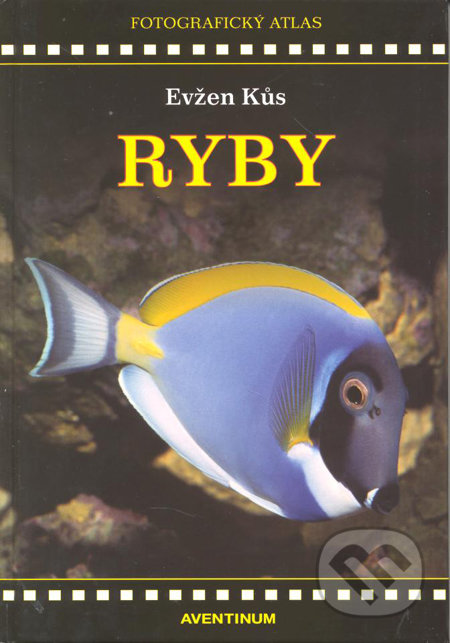 Ryby (Fotografický atlas)
