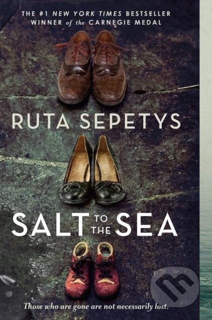 Salt To The Sea