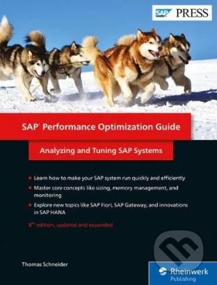 SAP Performance Optimization Guide
