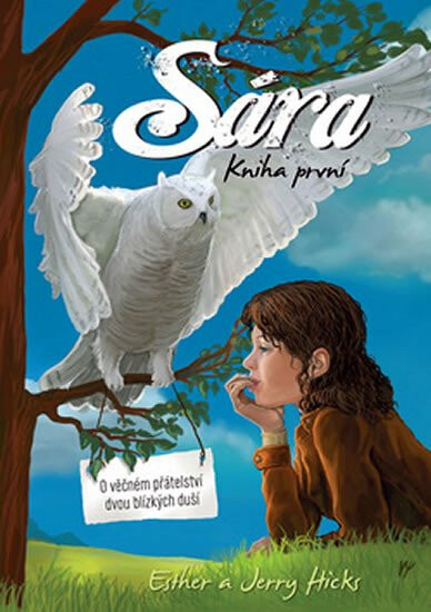 Sára. Kniha první - Jerry Hicks, Esther Hicks