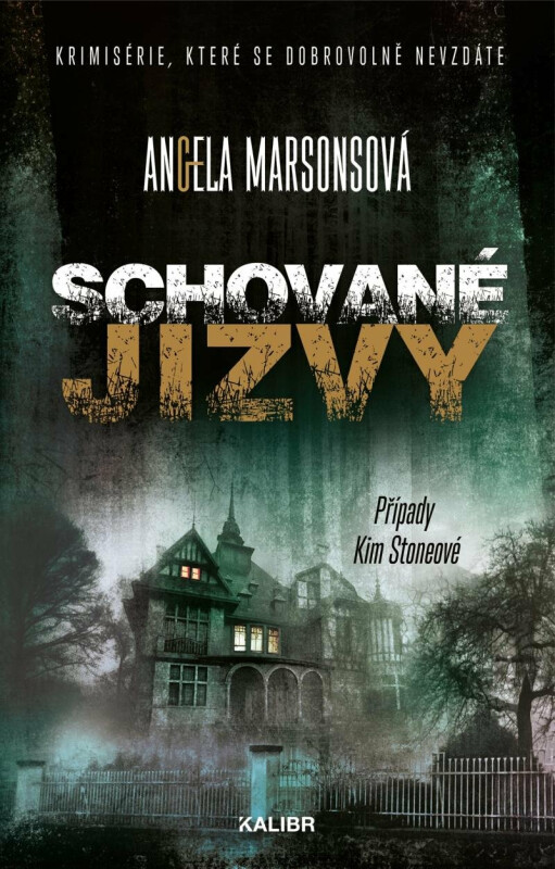 Schované jizvy - Angela Marsonsová