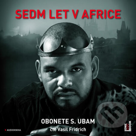 Sedm let v Africe (audiokniha) (2 CD (mp3))