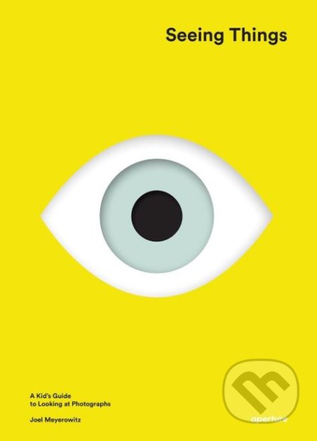 Seeing Things