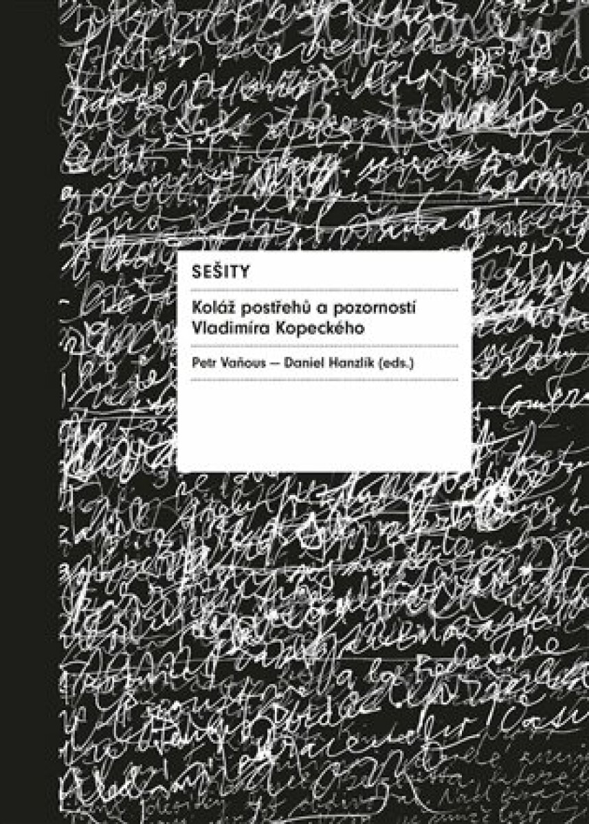 Sešity (Koláž postřehů a pozorností Vladimíra Kopeckého) - kniha z kategorie Beletrie pro děti
