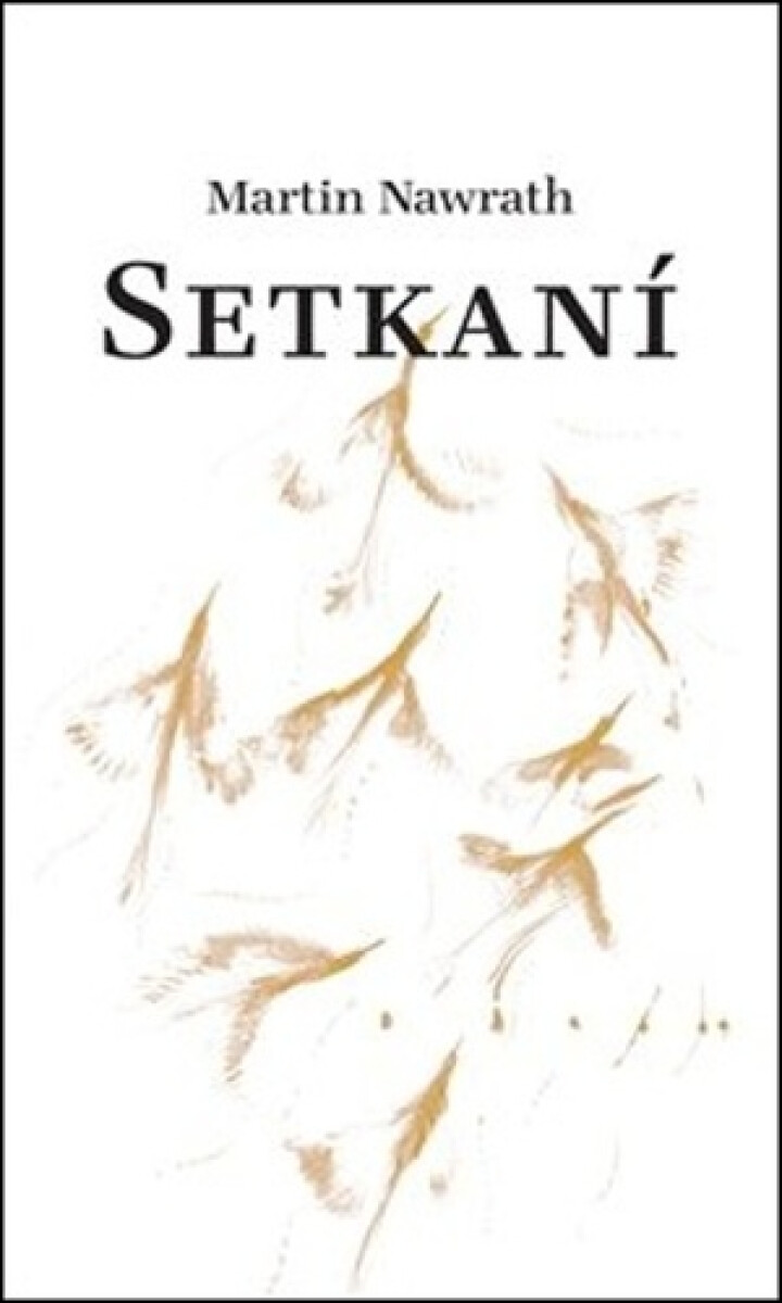 Setkaní