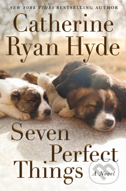 Seven Perfect Things (A Novel)