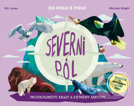 Severní pól, Jižní pól