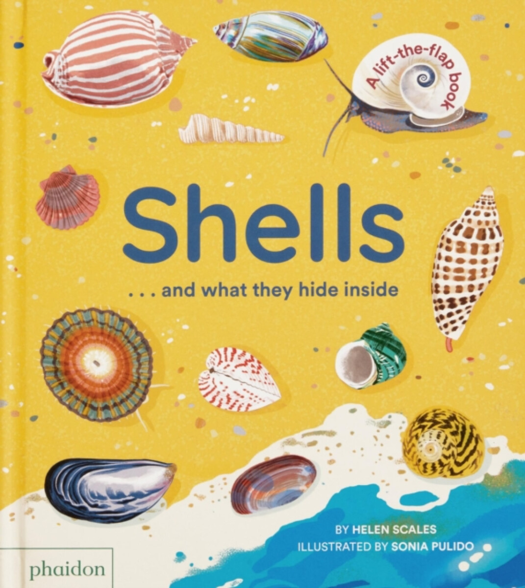 Shells... and what they hide inside - Helen Scales
