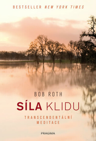 Síla klidu