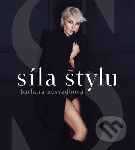 Síla stylu
