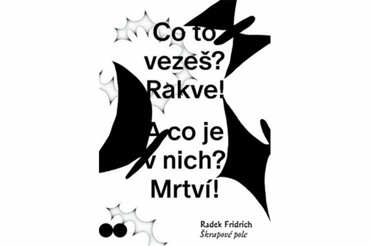 Škrapové pole - Radek Fridrich