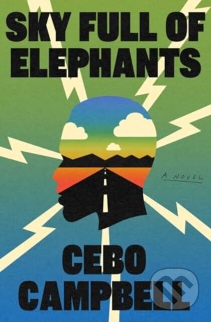 Sky Full of Elephants (A Novel)