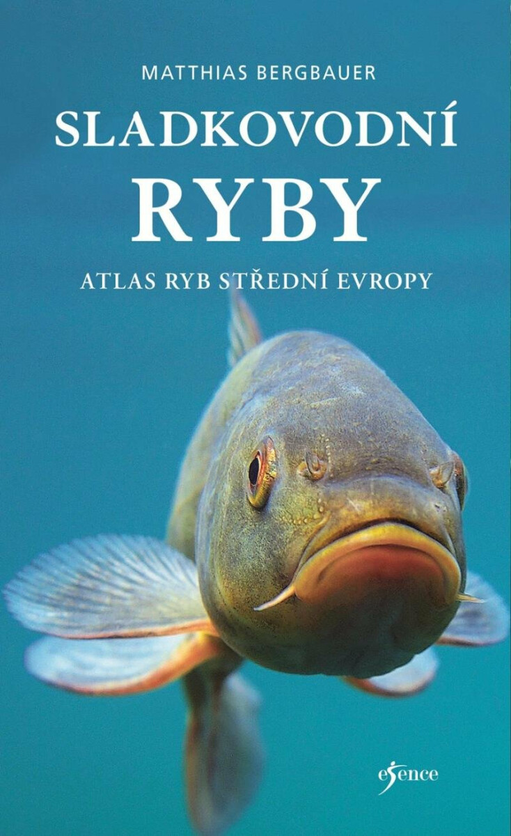 Sladkovodní ryby - Matthias Bergbauer