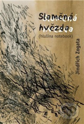 Slaměná hvězda ((hlušina notebook))