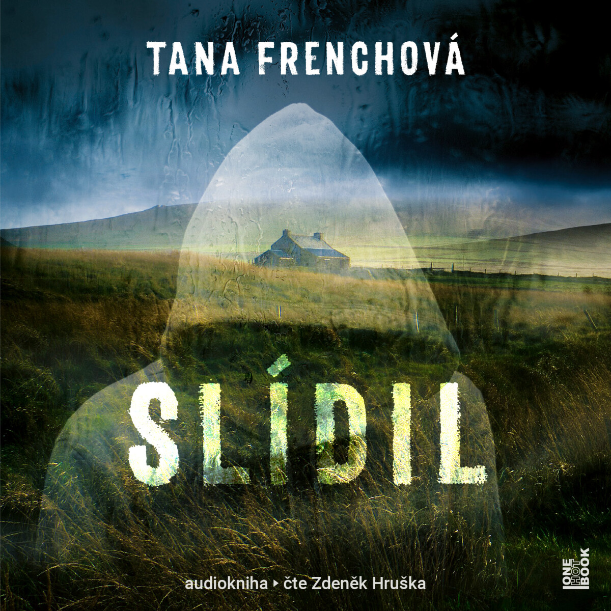 Slídil - Tana Frenchová - audiokniha