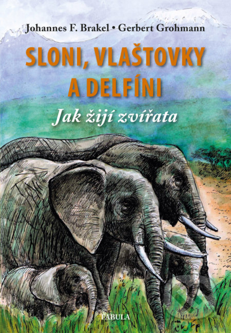 Sloni, vlaštovky a delfíni (Jak žijí zvířatá)