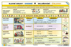 Slovní druhy