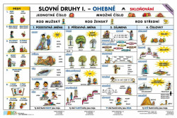 Slovní druhy