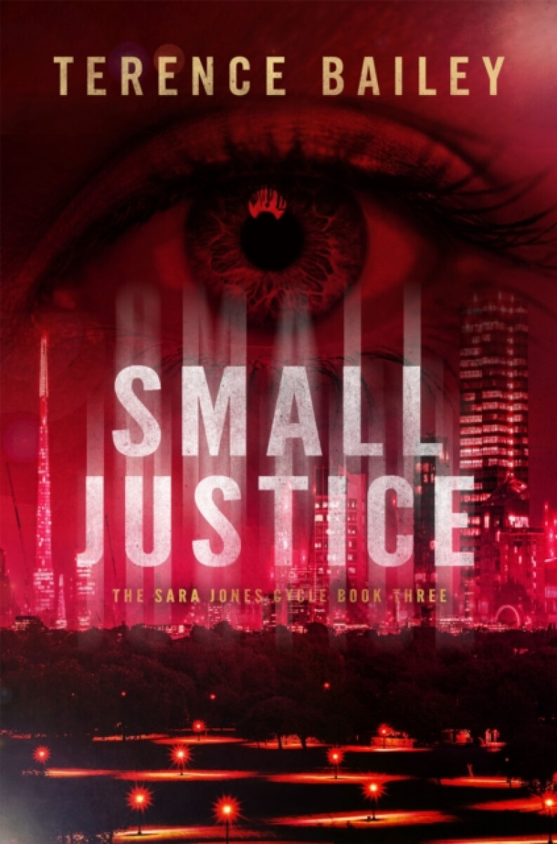 Small Justice
