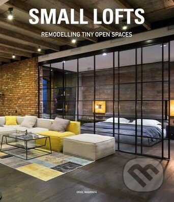 Small Lofts (Remodelling Tiny Open Spaces)