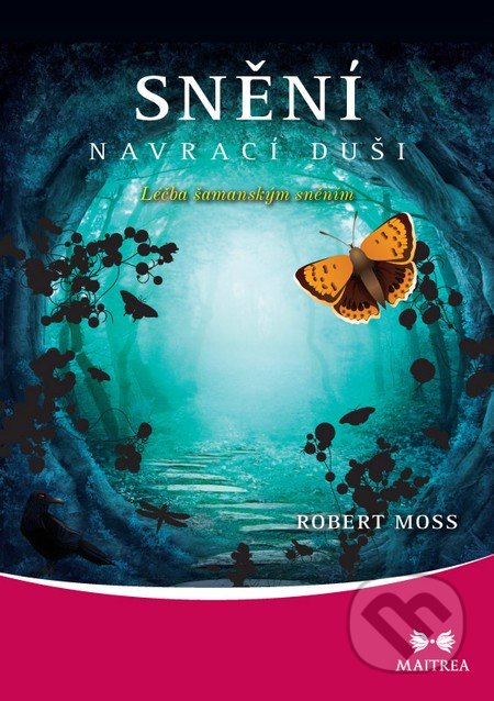 Snění navrací duši (Léčba šamanským sněním)