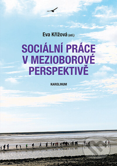Sociální práce v mezioborové perspektivě