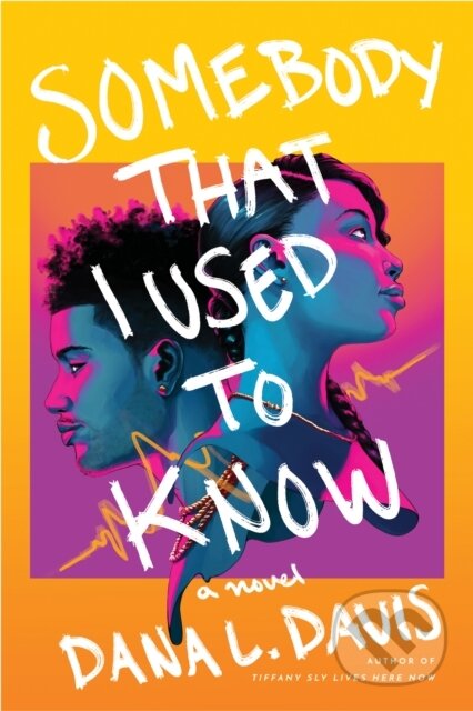 Somebody That I Used to Know (A Novel)