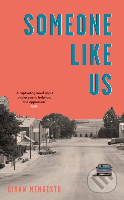 Someone Like Us ('No book this year moved or thrilled me more'