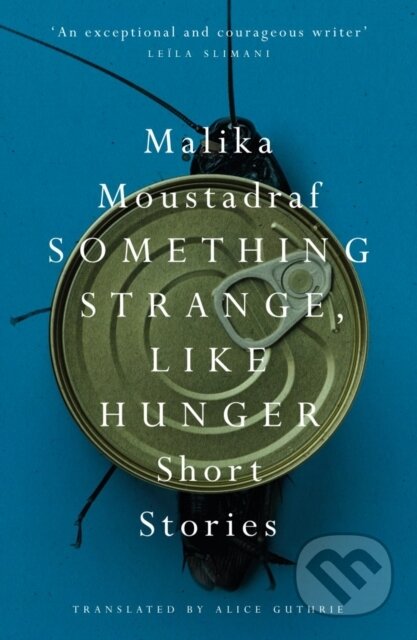 Something Strange, Like Hunger (Short Stories)