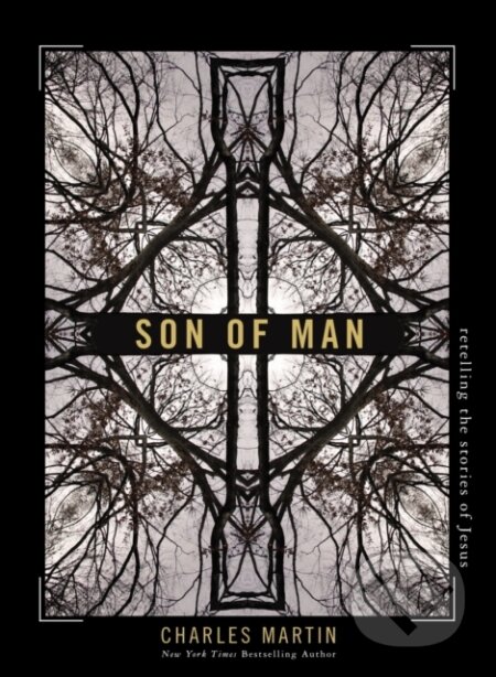 Son of Man (Retelling the Stories of Jesus)