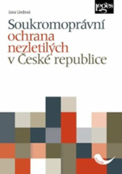 Soukromoprávní ochrana nezletilých v České republice - kniha z kategorie Politologie a politika