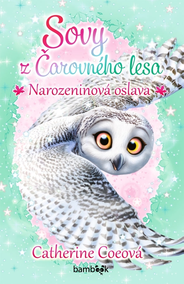 Sovy z Čarovného lesa Narozeninová oslava