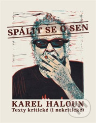 Spálit se o sen (Texty kritické ( i nekritické ))