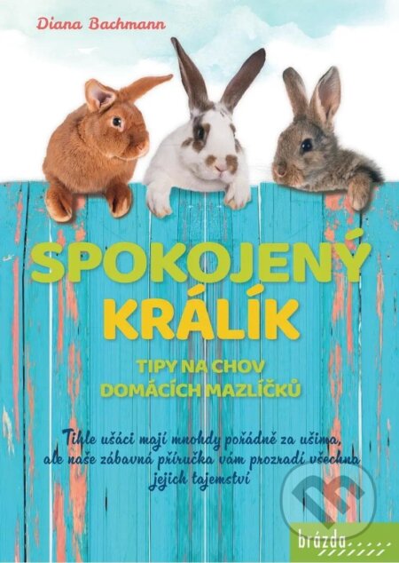 Spokojený králík (Tipy na chov domácích)