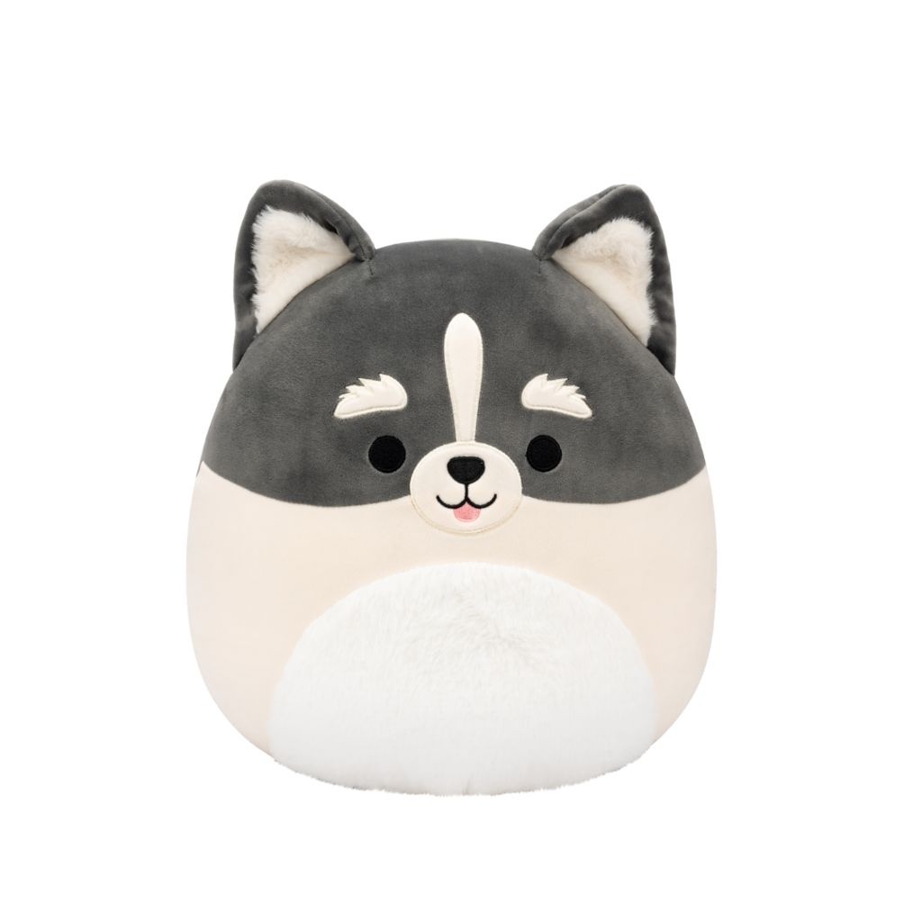 Squishmallows Pomsky Paolo