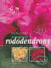 Stálezelené rododendrony