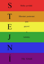 Stejní (Hlavními postavami jsou gayové a lesbičky) - kniha z kategorie Beletrie