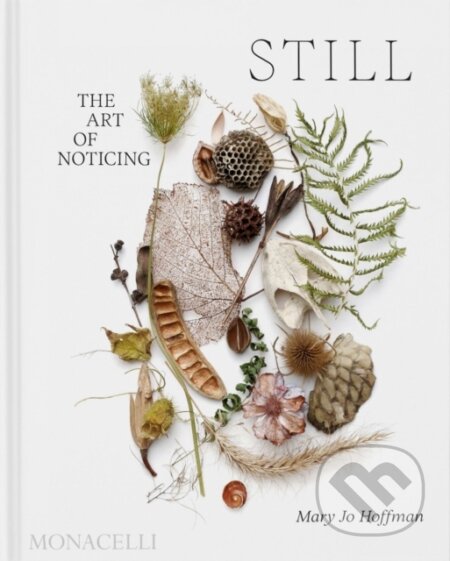 STILL (The Art of Noticing)
