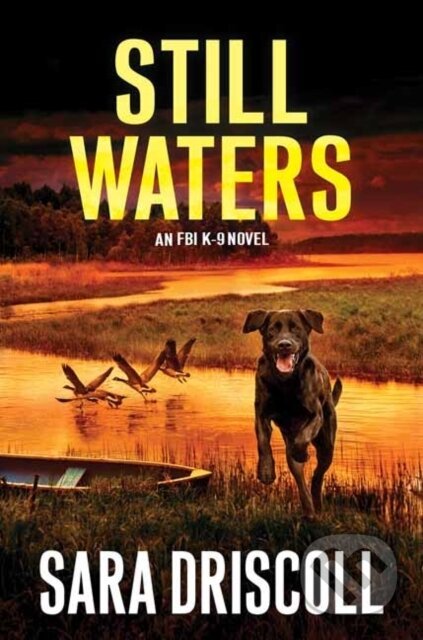 Still Waters (A Riveting Novel of Suspense)