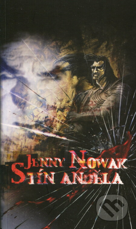 Stín anděla
