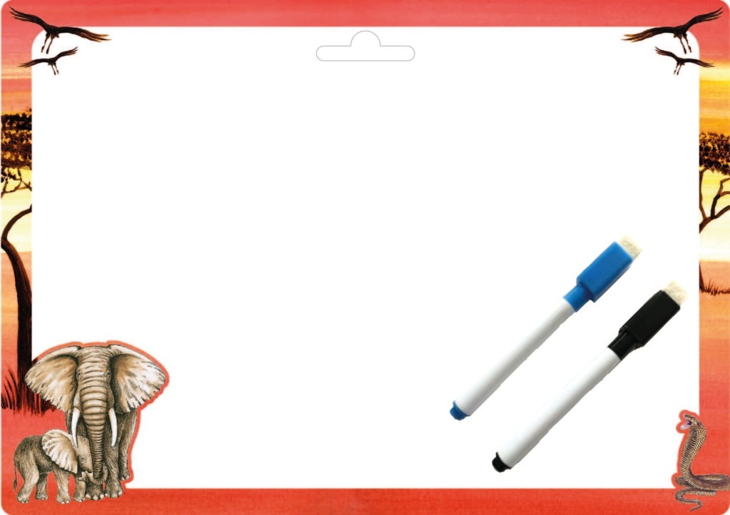 Stíratelná tabulka Safari