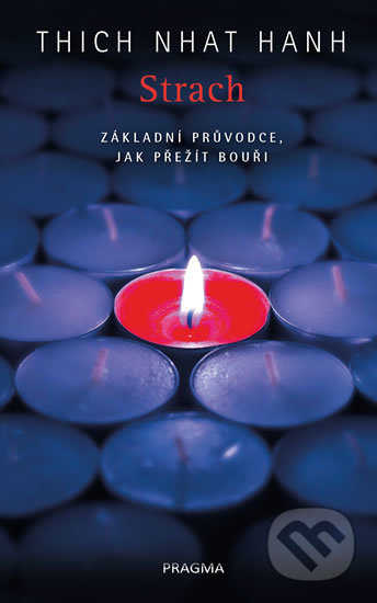 Strach. Základní průvodce, jak přežít bouři