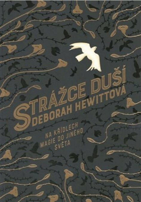 Strážce duší - Deborah Hewittová